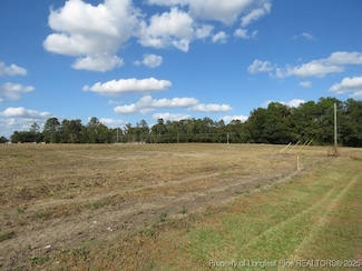 Lot 5 N Carolina 130, Fairmont, NC 28340