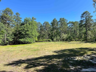 119 Lewis Ct, Gilbert, SC 29054