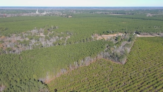 0 N Carolina 45, Cofield, NC 27922