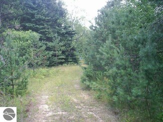 Off Tucker Rd, Alba, MI 49611