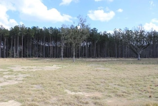 24755 B-2 Louisiana 442, Independence, LA 70443