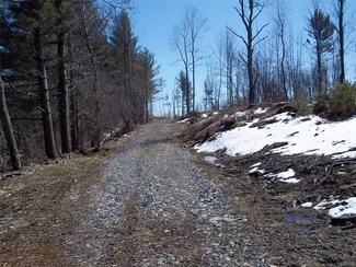 0 Old State Rd Unit S1110688, Castorland, NY 13620