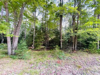 Lot 37 Balsam Park Blv, Hazelhurst, WI 54531