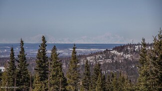 L33A B10H Robert Dr, Anchorage, AK 99516
