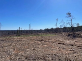 0 Mississippi 547, Pattison, MS 39144