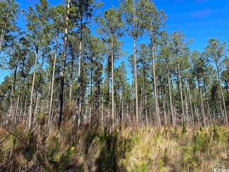 TBD Seaboard Rd, Lane, SC 29564