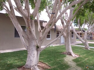 738 Orange Ave, Holtville, CA 92250