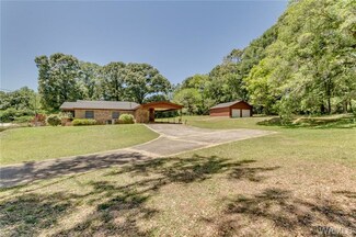 6238 Jaybird Rd, Cottondale, AL 35453