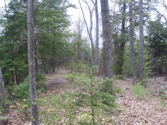 0 Cape St Unit 71393005, Williamsburg, MA 01096