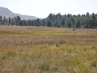 5B Acr 2311, Alpine, AZ 85920
