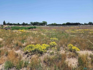 1817 Quail Wood Dr, Portales, NM 88130