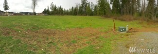1231 Hopkins Ct, Carbonado, WA 98323