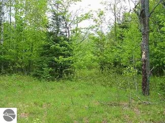 0 W Sharon Rd Unit 1876426, Fife Lake, MI 49633