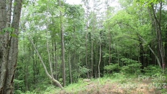 Lot 37 Deeplow Gap None, Bryson City, NC 28713