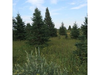Parcel #4 E Simmons Rd, Hessel, MI 49745
