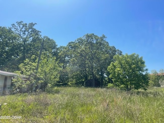 6376 State Highway 43, Loma Linda, MO 64804