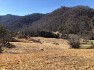 99999 Sugar Creek Rd, Weaverville, NC 28787