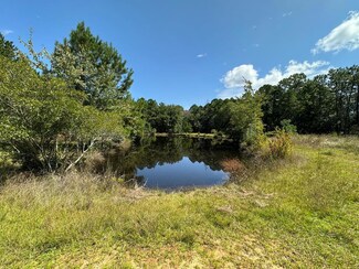 00 Camellia St, Hazlehurst, GA 31539