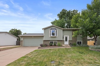 11823 Steele St, Thornton, CO 80233