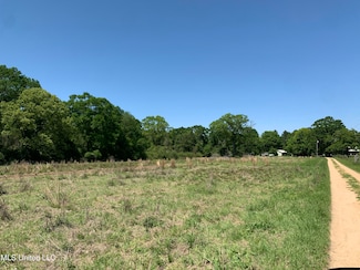 0 Hickman Rd, Wiggins, MS 39577