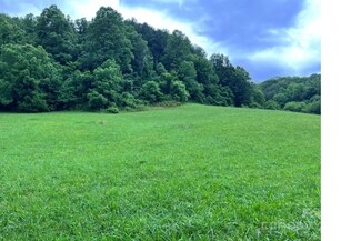 0 Roscoe Lewis Rd, Webster, NC 28779