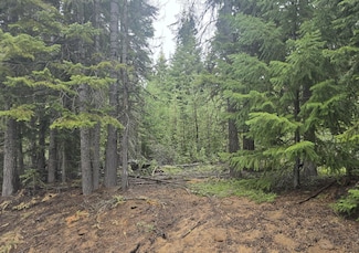 5 Royce Pine Rd, Crescent Lake Junction, OR 97733