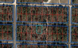 0 NE 16th Ln Unit MFROM702812, Williston, FL 32696