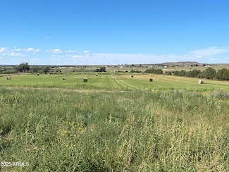 TBD S Bourdon Ranch, Taylor, AZ 85939