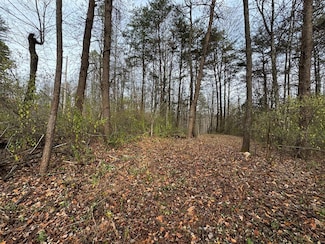 0 Pine Knoll Farms Unit 104190, Stuart, VA 24171