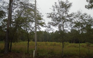 Lot 1 Grizzly Bear Rd, Norman Park, GA 31771