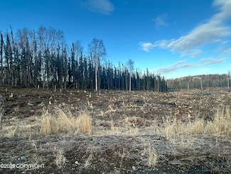 5203 Kelsi Loop, Knik-Fairview, AK 99654