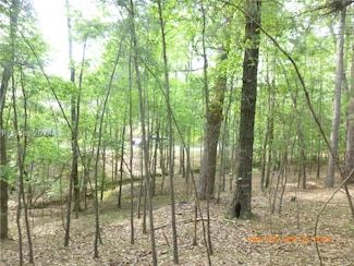 Lot 8 Block 15 Colleen Point, McCormick, SC 29835