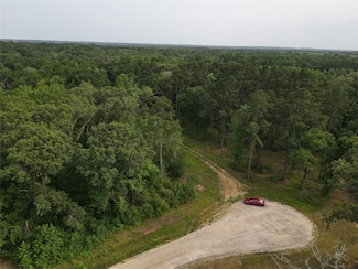 TBD Farm To Market 977, Leona, TX 75850
