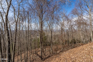 Tbd Iroquois Rd, Mountain City, TN 37683