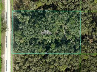 7192 Glenchester Dr, Webster, FL 33597