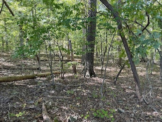411 Wayne Smith Rd, Spring City, TN 37381