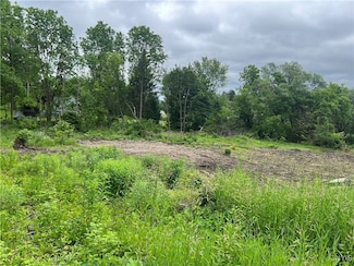 0 Franklin St, Homer, NY 13077
