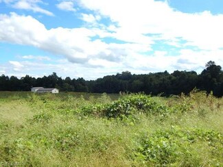 0003 Red Hill Creek Rd, Dobson, NC 27017