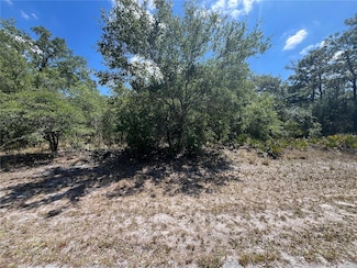 0 Oleander Dr Unit MFRP4934522, Indian Lake Estates, FL 33855