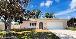 10478 Laval St, Spring Hill, FL 34608