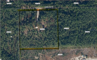 145 Snake Hill Rd, Crescent City, FL 32112