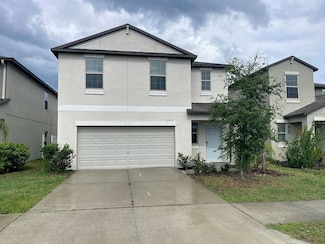 3810 Romano Busciglio St, Tampa, FL 33619
