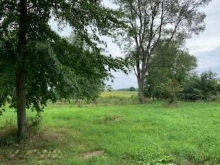 Parcel A Andres Rd, Belding, MI 48809