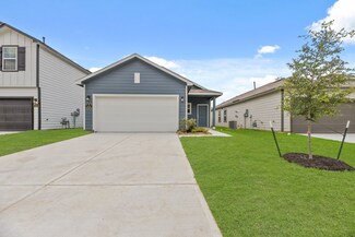 16318 Airborne Arch Ln, Porter, TX 77365