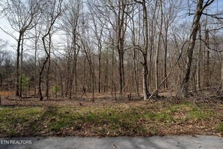 235 Clear Springs Rd, Harriman, TN 37748