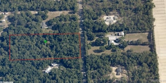 2406 N Pine Cone Ave, Lecanto, FL 34461
