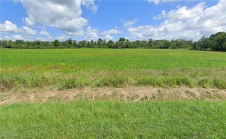 Lot #4 Chippewa Rd, Chippewa Lake, OH 44215