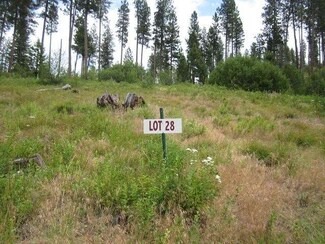L 28 B 1 Elk Run, Idaho City, ID 83631