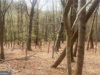 0 Bee Tree Ridge Unit 10499864, Jasper, GA 30143