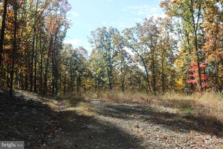 0 6 75 Acres Canyon Creek Subdivision Unit WVHD2001772, Wardensville, WV 26851